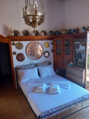 Anna’s Skyrian House